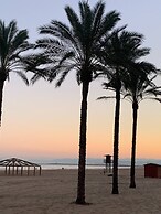 Splendid New Apartment With Swimming Pool 50 Meters From the Beach of