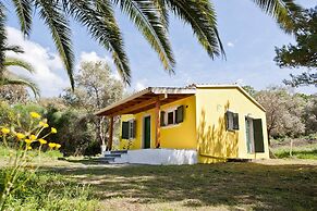 Cute Yellow Handmade House With Garden