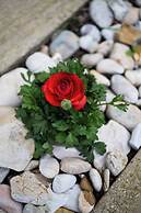 Cute Yellow Handmade House With Garden