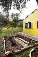 Cute Yellow Handmade House With Garden