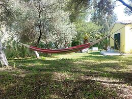 Cute Yellow Handmade House With Garden