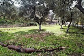 Cute Yellow Handmade House With Garden