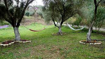 Cute Yellow Handmade House With Garden