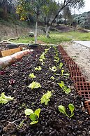 Cute Yellow Handmade House With Garden