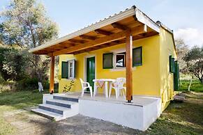 Cute Yellow Handmade House With Garden