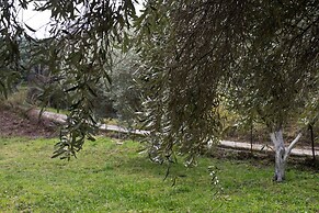 Cute Yellow Handmade House With Garden