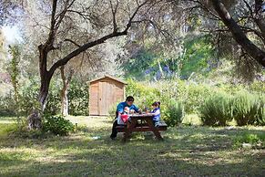 Cute Yellow Handmade House With Garden