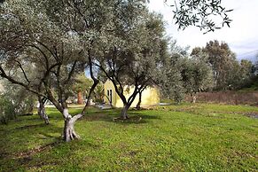 Cute Yellow Handmade House With Garden