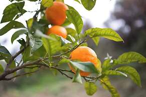 Cute Yellow Handmade House With Garden