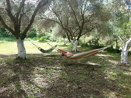 Cute Yellow Handmade House With Garden