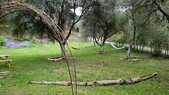 Cute Yellow Handmade House With Garden