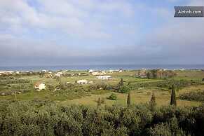 Cute Yellow Handmade House With Garden