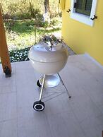 Cute Yellow Handmade House With Garden