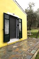 Cute Yellow Handmade House With Garden