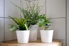 Cute Yellow Handmade House With Garden