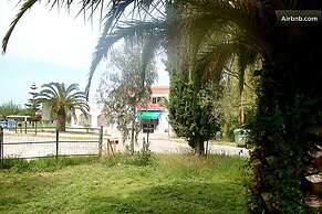 Cute Yellow Handmade House With Garden