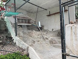 Cottage With 1 Bedroom, 2 Bathroom Heated Solar Pool, Sauna, Jacuzzi G