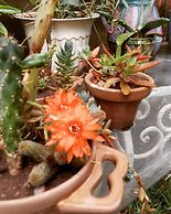 Holiday Home Mendoza Leisure Time