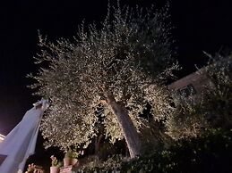 La Terrazza, Historic Tuscan Stone Residence With Garden and Terrace i