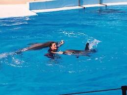 Villa Castelos, Quelfes, Eastern Algarve 8700-581