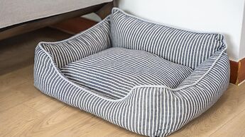 Gapyeong Highmong Pet-friendly Kids Pool