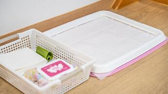 Gapyeong Highmong Pet-friendly Kids Pool