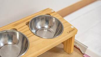 Gapyeong Highmong Pet-friendly Kids Pool