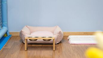 Gapyeong Highmong Pet-friendly Kids Pool