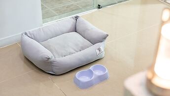 Gapyeong Highmong Pet-friendly Kids Pool