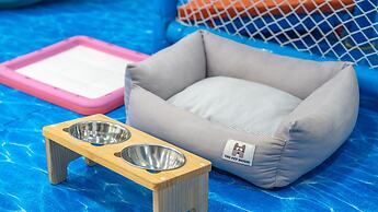 Gapyeong Highmong Pet-friendly Kids Pool