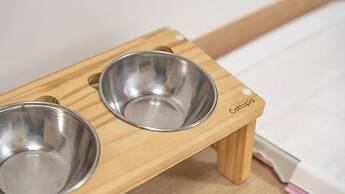 Gapyeong Highmong Pet-friendly Kids Pool