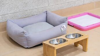 Gapyeong Highmong Pet-friendly Kids Pool