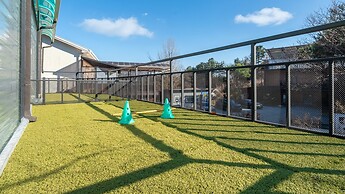 Gapyeong Highmong Pet-friendly Kids Pool