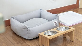 Gapyeong Highmong Pet-friendly Kids Pool