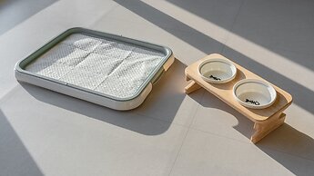 Gapyeong Highmong Pet-friendly Kids Pool