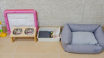 Gapyeong Highmong Pet-friendly Kids Pool