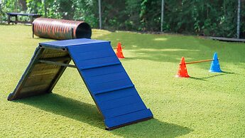 Gapyeong Highmong Pet-friendly Kids Pool