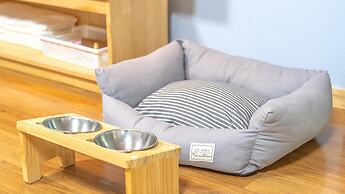 Gapyeong Highmong Pet-friendly Kids Pool