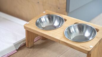 Gapyeong Highmong Pet-friendly Kids Pool