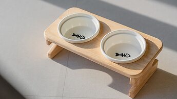 Gapyeong Highmong Pet-friendly Kids Pool