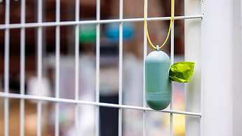 Gapyeong Highmong Pet-friendly Kids Pool