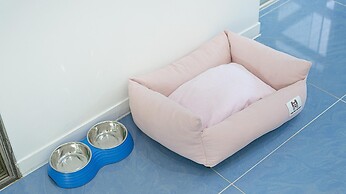 Gapyeong Highmong Pet-friendly Kids Pool