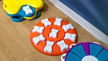 Gapyeong Ddobagi Pet & Spa Glamping