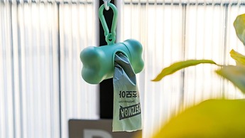 Gapyeong Ddobagi Pet & Spa Glamping