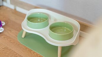 Gapyeong Ddobagi Pet & Spa Glamping