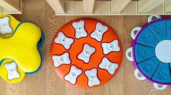 Gapyeong Ddobagi Pet & Spa Glamping