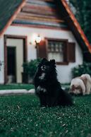 Villa Chalés Gramado - OH HOTEIS