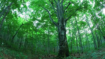 Intercontinental Appi Kogen Resort by IHG