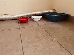 Villa Patricia Surrounded by Trees