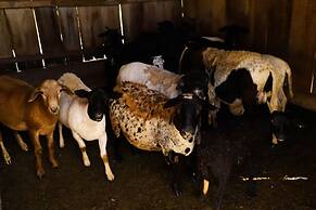 Porto Fazenda Hotel - Pensão Completa